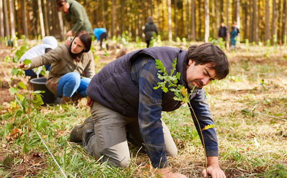 personas plantando árboles